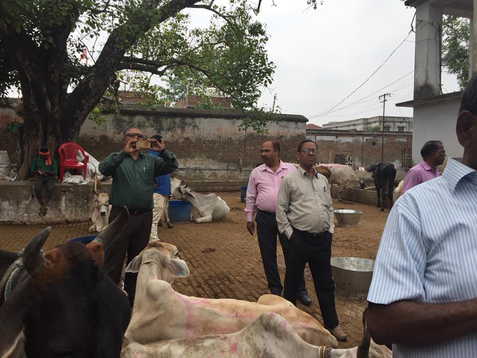 Animal Welfare (2)